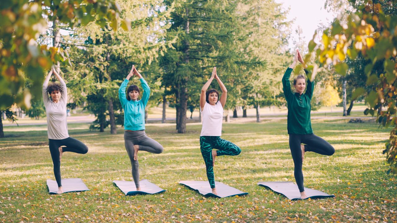 Mastering the First Impression: Your intriguing post title goes here Four women performing yoga in a tranquil park during a sunny fall day.